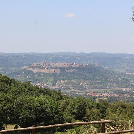 Agriturismo Fattoria Poggio Boalaio Орвието Экстерьер фото