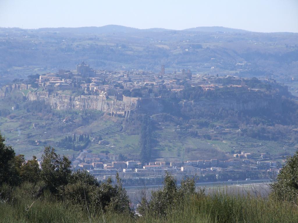 Agriturismo Fattoria Poggio Boalaio Орвието Экстерьер фото