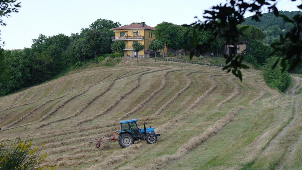 Agriturismo Fattoria Poggio Boalaio Орвието Экстерьер фото