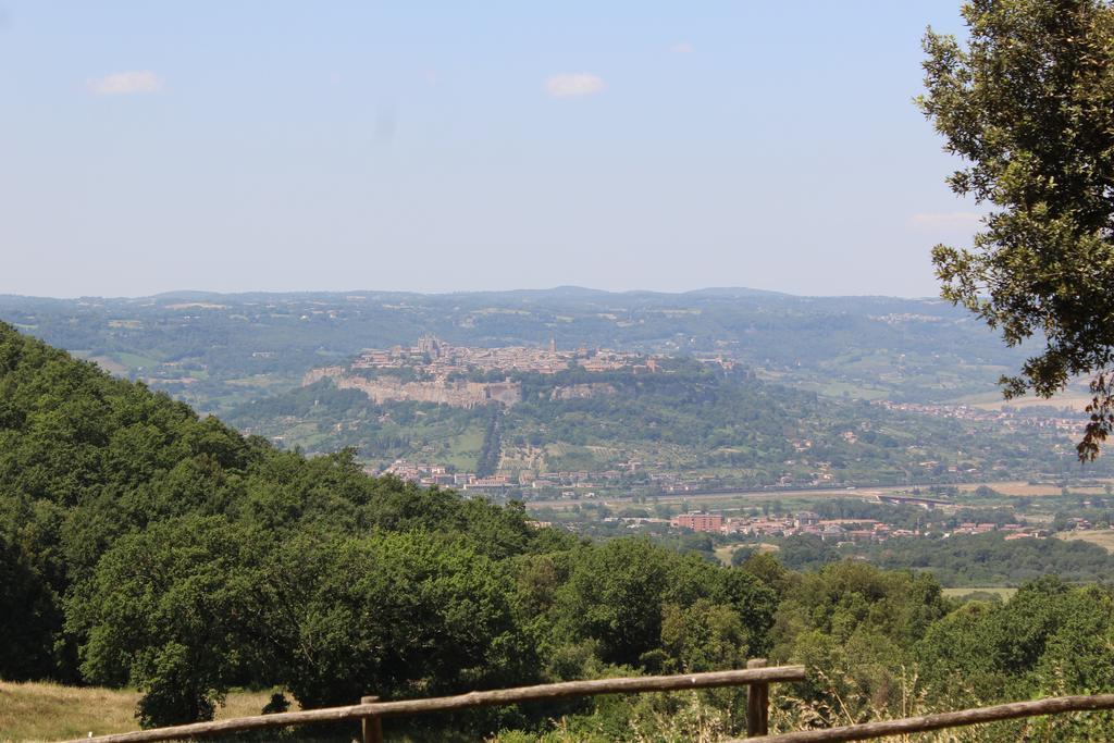 Agriturismo Fattoria Poggio Boalaio Орвието Экстерьер фото