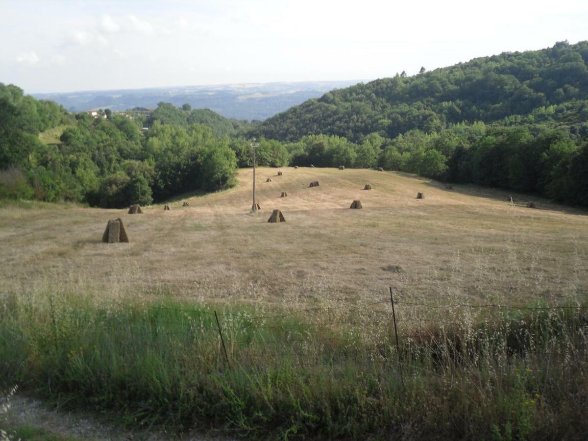 Agriturismo Fattoria Poggio Boalaio Орвието Экстерьер фото
